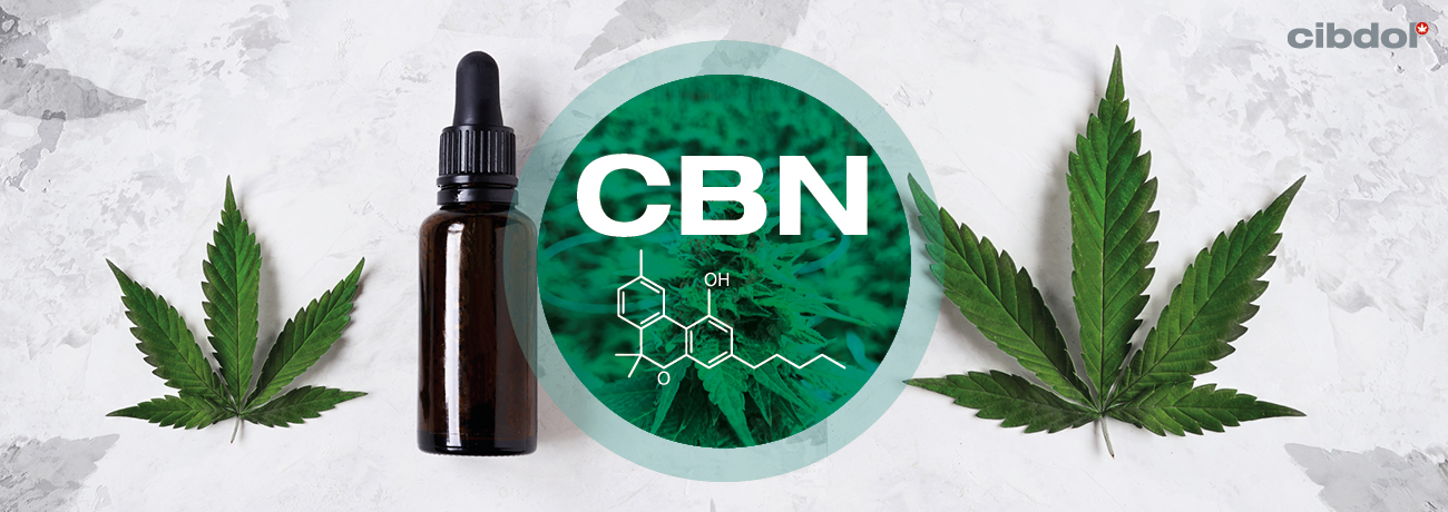 What Is CBN (Cannabinol)? - Cibdol